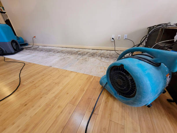 Professional Water Extraction technician working in Purcell, OK